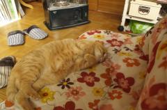 �G�ߊ��������ƕۂ��Ƃ̃T���l�C���摜