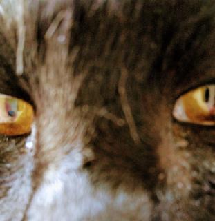 ��]���Č������H�̃T���l�C���摜