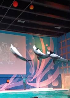 �C���J�̃X�s���`���A�����[�h�́u�����v�̃T���l�C���摜