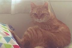 10/18�̐���p���b�Z�[�W�̃T���l�C���摜