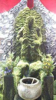 �@�P���̃T���l�C���摜