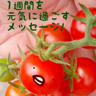 1�T�Ԃ����C�ɉ߂������b�Z�[�W�I�̃T���l�C���摜