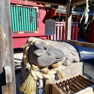 �{�闷�s�҂V�@���ŋ��𕏂łď����ɐ��I�̃T���l�C���摜