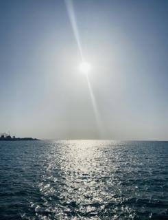 �z���F�̃T���l�C���摜