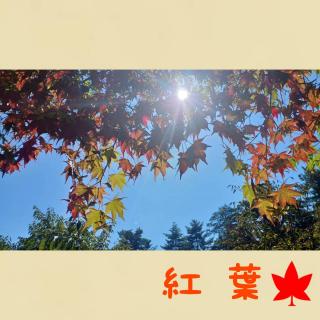 ���ꂢ�ȍg�t�����Ă��܂����I�̃T���l�C���摜