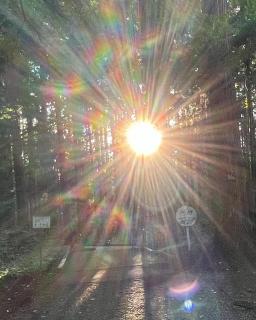 【望む現実を創る①】のサムネイル画像