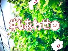 ������[���IR4.7.11���̂̃T���l�C���摜