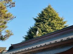 [�g��]�_�Ђ̔q�a�ɔ���̃T���l�C���摜