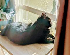 �����Ăъo�܂��̂̃T���l�C���摜