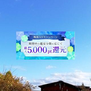 �~�J����L�����y�[���̃T���l�C���摜