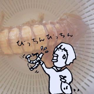 �߂����ᓮ�����V���RVS���̃T���l�C���摜