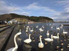 �����Ɠ��̃n�b�s�[�摜�̃T���l�C���摜