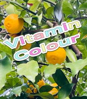 �t���b�g�Ȏ��_�ŁIR4.3.31���̂̃T���l�C���摜