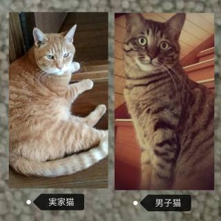 �y5���㔼���L�肢�z(=^��֥^=)�̃T���l�C���摜