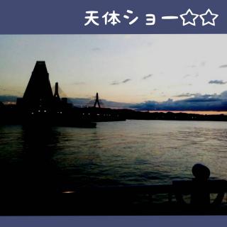 �y���Ќ��悤�z���̋�ɖؐ��Ƌ������P���I�̃T���l�C���摜