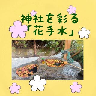 �_�Ђ��ʂ�u�Ԏ萅�v�̃T���l�C���摜