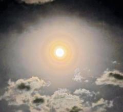 8��28���X�^�[�W�������[���������񁙂̃T���l�C���摜
