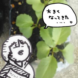 ��\���卪�ʐM���{�t�ɂ������̃T���l�C���摜