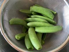 �X�i�b�N�G���h�E�̃T���l�C���摜