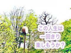 ��肽�����Ƃ��HR4.5.6���̂̃T���l�C���摜