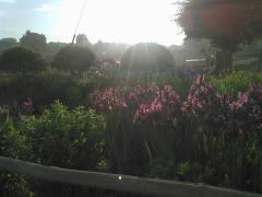 �����Ɨǂ��ł��낤����������āB�̃T���l�C���摜