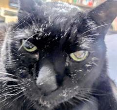 �ĂщĂ̗������Ȃ�b���̃T���l�C���摜