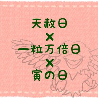 ŋJ^V͓~ꗱ{~Ђ̓̃TlC摜