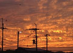 �U��10���@�����^�̃T���l�C���摜