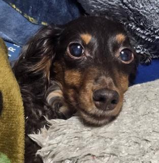 3��19���A20���̉^���̃T���l�C���摜