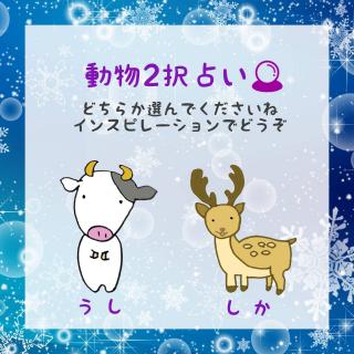 12���O��2��肢�I�A�h�o�C�X���ǂ������̃T���l�C���摜