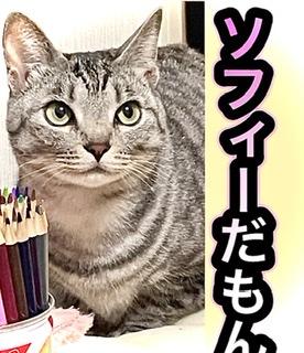 �`��������R3.12.23.���̂̃T���l�C���摜