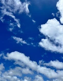 ����́A�����͈ԗ�̓��̃T���l�C���摜