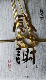 �T�����ŗ�͔�I�̃T���l�C���摜