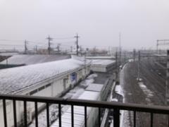 �y��ʂ��c�Ɓz�C�����[��i�C�g�̃T���l�C���摜