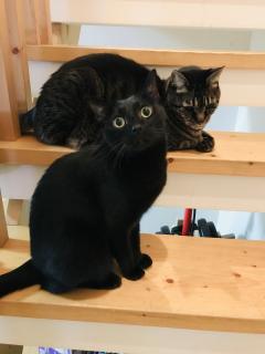 �݂Ȃ��܂��g�̂����������������܂��˂̃T���l�C���摜