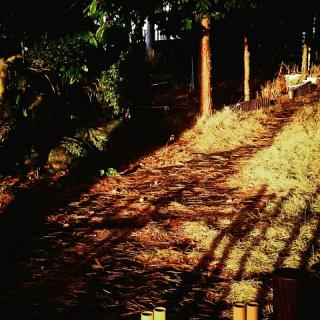 �ɂ�񂲂����[�̃T���l�C���摜