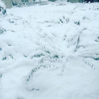 ����������Ɛς���̃T���l�C���摜