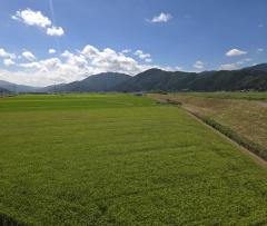 �W��7���@�����^�̃T���l�C���摜