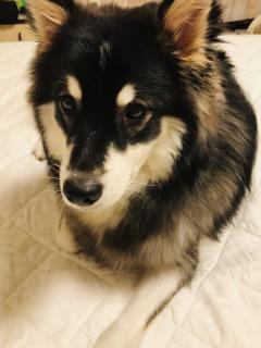 ���z�̕v�w���́E�E�E�̃T���l�C���摜