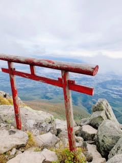 �y�_�̌��z�F��͓V�ɓ͂����̂̃T���l�C���摜