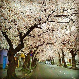 ���Ɓu�́v�̃T���l�C���摜