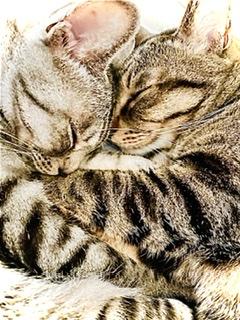 ���C�Ői�ށIR4.7.23���̂̃T���l�C���摜