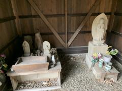 ����̃T���l�C���摜