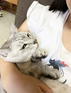 �������ɔL����񂪂�����ւ̃T���l�C���摜