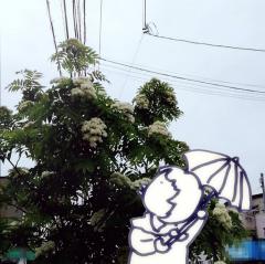 �܌��J�͔~�J�̋G��̃T���l�C���摜