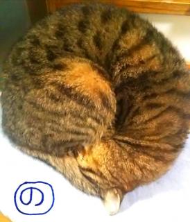 ���邮��̂�܂��L�̃T���l�C���摜