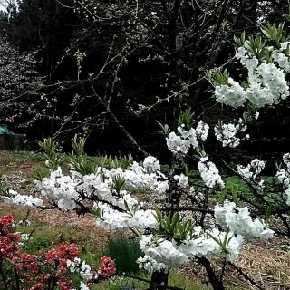 ���Ƃ����@-�R�̒�����-�̃T���l�C���摜