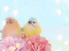���͂悤�������܂��B�̃T���l�C���摜