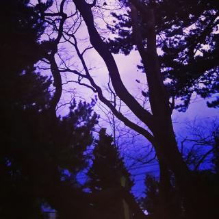 ���тɂ��ĂQ�̃T���l�C���摜