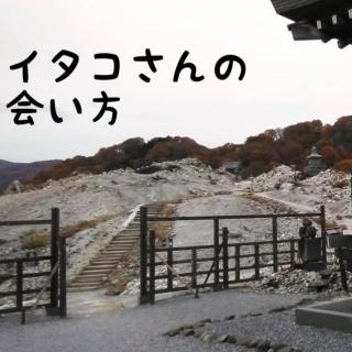 �C�^�R����̉���̃T���l�C���摜